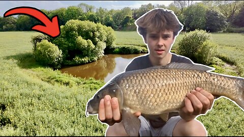 Carp Caught Out A Pond In The Middle Of A Field!