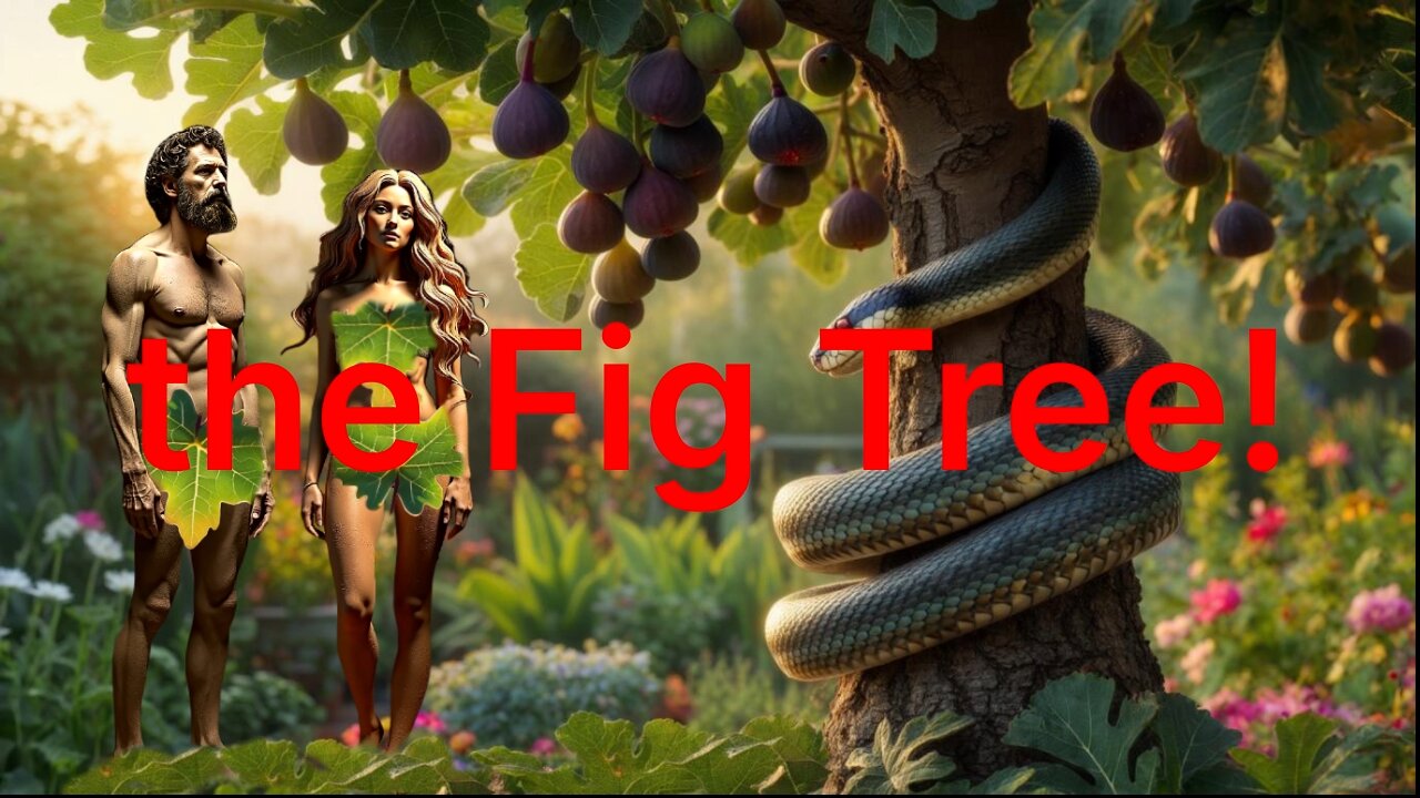 The Fig Tree
