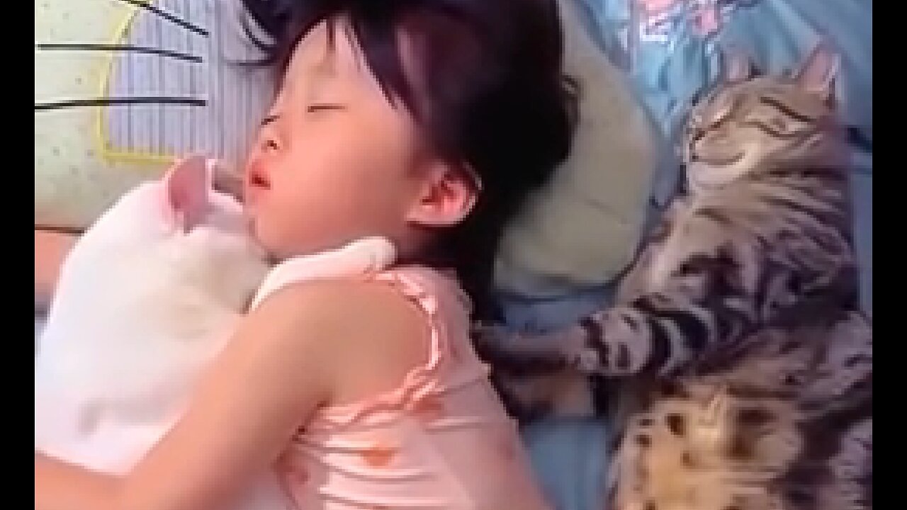 DOOM BREAK: CAT GUARDIANS TAKING CARE OF, NURTURING & PROTECTING THE BABIES & TODDLERS 💕