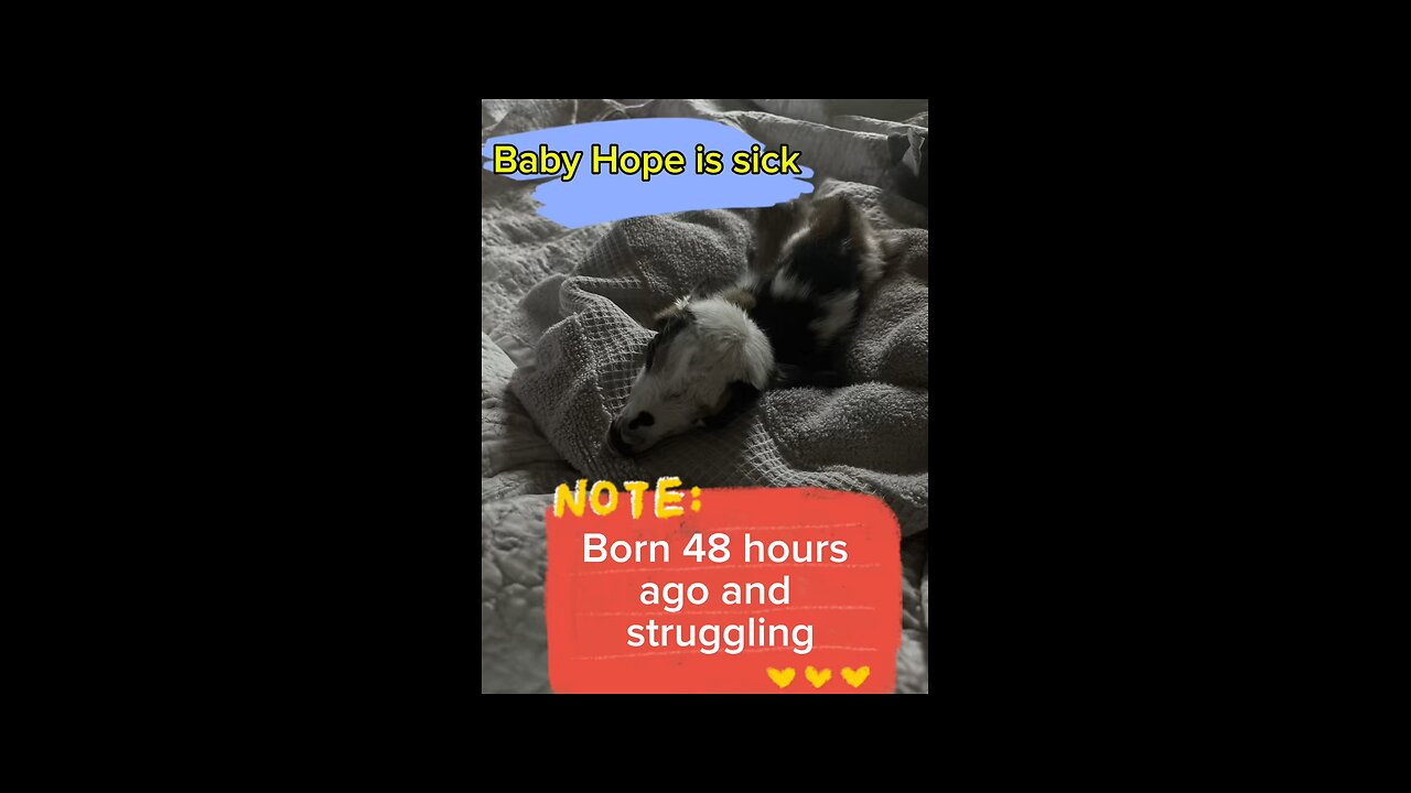 Hope was born 48 hours ago and her life has been a struggle so far.