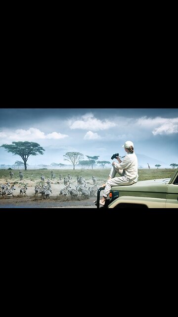 Tanzania – Safaris, Serengeti & Kilimanjaro Skies 🌍🦁