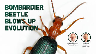 Bombardier Beetle Blows Up Evolution | Eric Hovind & Dr. Andy McIntosh | Creation Today Show #437