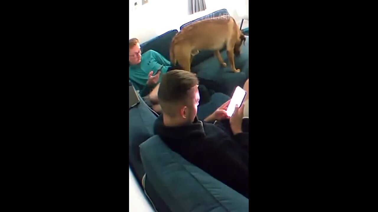 He Tried… and FAILED Hilariously