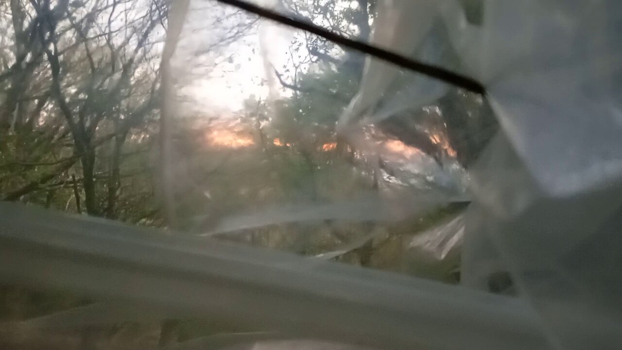 10, dawn, after the storm, sleep, naaa, pain, #2025 ,