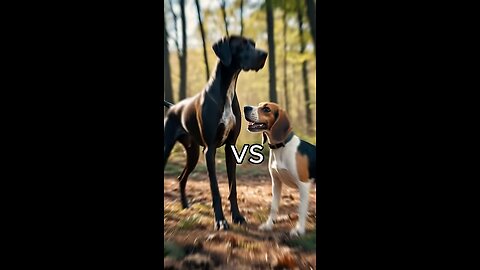 Rottweiler Puppy vs Pitbull puppy ( German Shepherd, Husky, Doberman, labrador retriever,