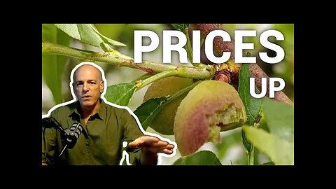 Money Replacement and Soaring Food Prices