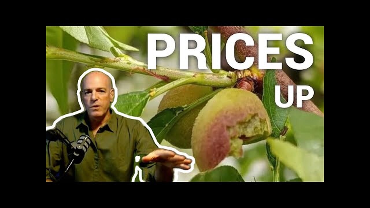 Money Replacement and Soaring Food Prices
