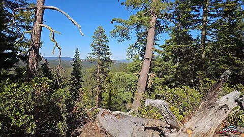 Hiking With PhLo 1