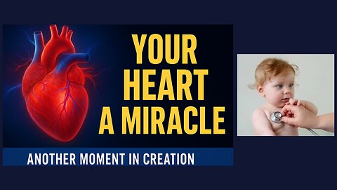 Cardiovascular System Made Simple | Heart Function, Blood Flow & Baby’s Transition at Birth