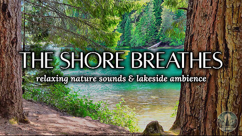 Relaxing Nature Sounds & Lakeside Ambience for Sleep, Relaxation & Focus ☀️🌲 | Sounds of Nature