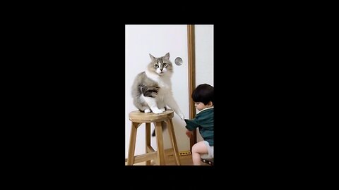 Cutie cat with cutie baby boy 😍