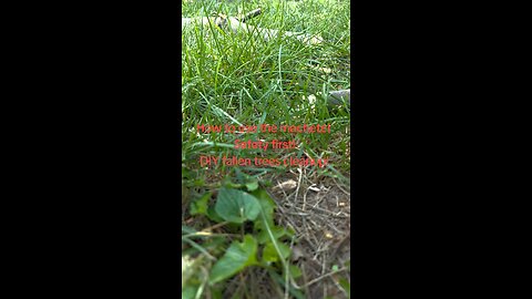 How to use the machete on fallen branches! Step by step safety first! Bushcraft training.