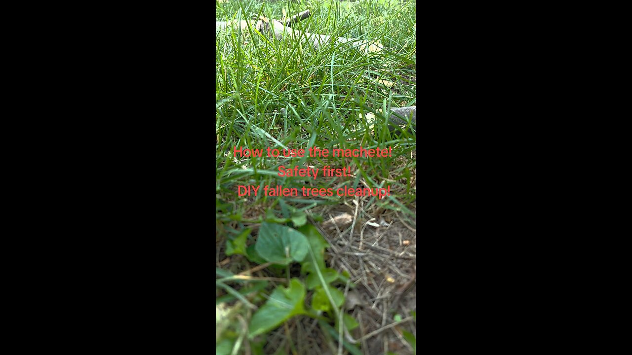 How to use the machete on fallen branches! Step by step safety first! Bushcraft training.