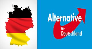 7 Alternative for Germany candidates killed