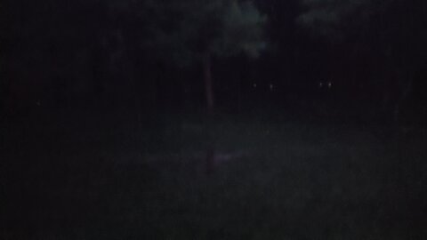 light show on Freckle Farm