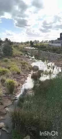 EVENING WALK #truth #jesus #mary #joseph #ihs #christ #church #bible #christian #saints #trinity #ca