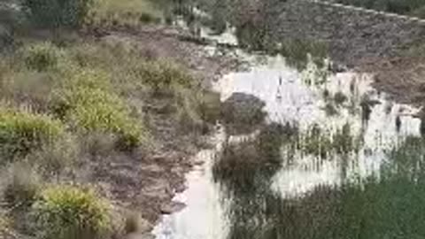 EVENING WALK #truth #jesus #mary #joseph #ihs #christ #church #bible #christian #saints #trinity #ca