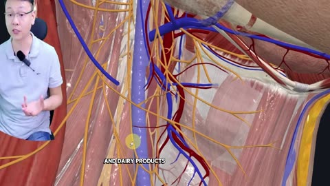 Immune System Health in Seniors: Strengthen Your Defenses as You Age