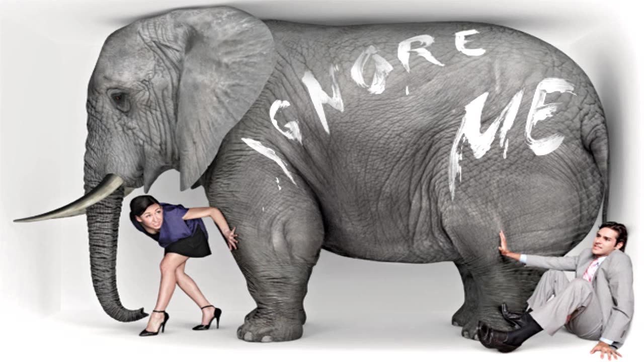 The Elephant In The Room