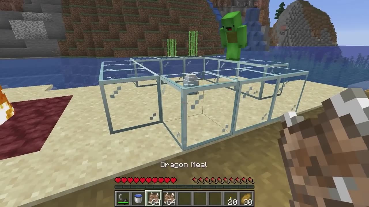 We adopted dragons in Minecraft!