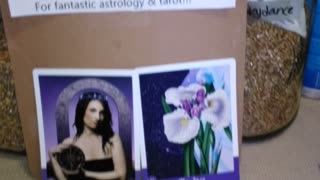 Queendom of Heaven & Precognitive Test 1-27-26