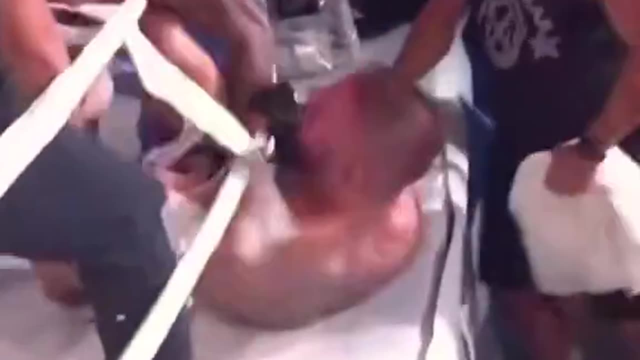 Georgi Valentinov, shocked fans last night after biting off a piece of his opponent’s ear