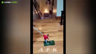 Goofy Cats and Dogs