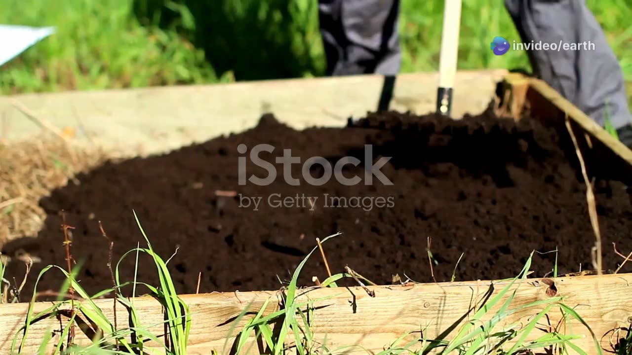 From Farmer To Your Plate