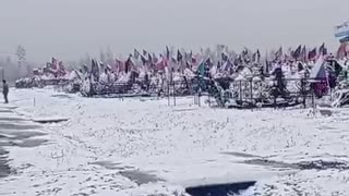 40% of the Male Population from Tomsk Now Reside in an Overcrowded Field