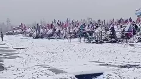 40% of the Male Population from Tomsk Now Reside in an Overcrowded Field