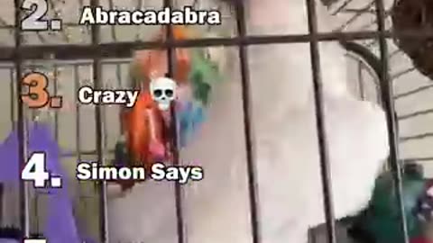 @aliarefi1372