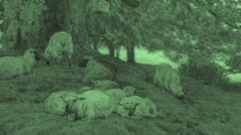 Real Bad Karma - WOLVES [YEDIT] (KanYe West) (Drake) {Bobert & Co}