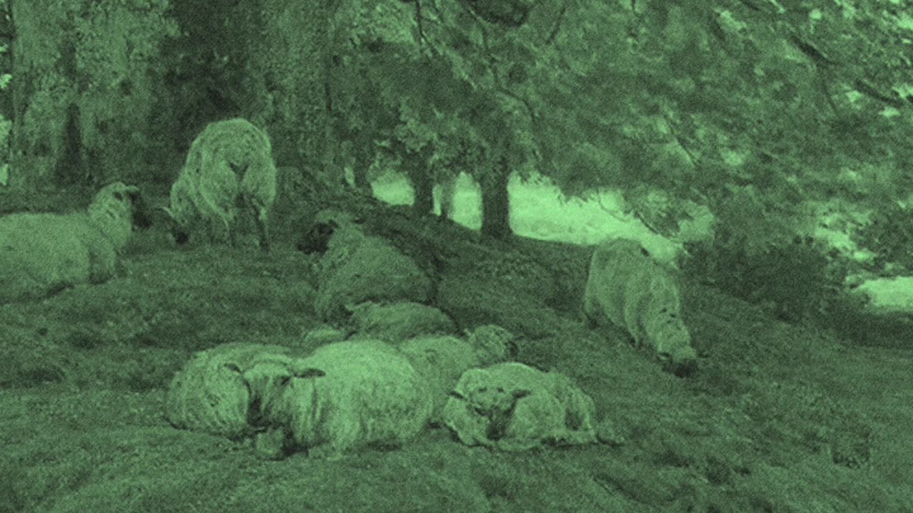 Real Bad Karma - WOLVES [YEDIT] (KanYe West) (Drake) {Bobert & Co}