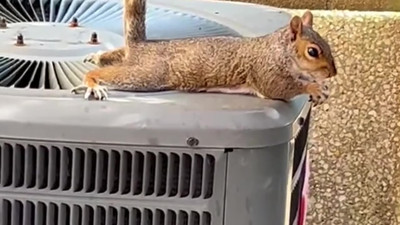 Air conditioning unit working just fine 🤣