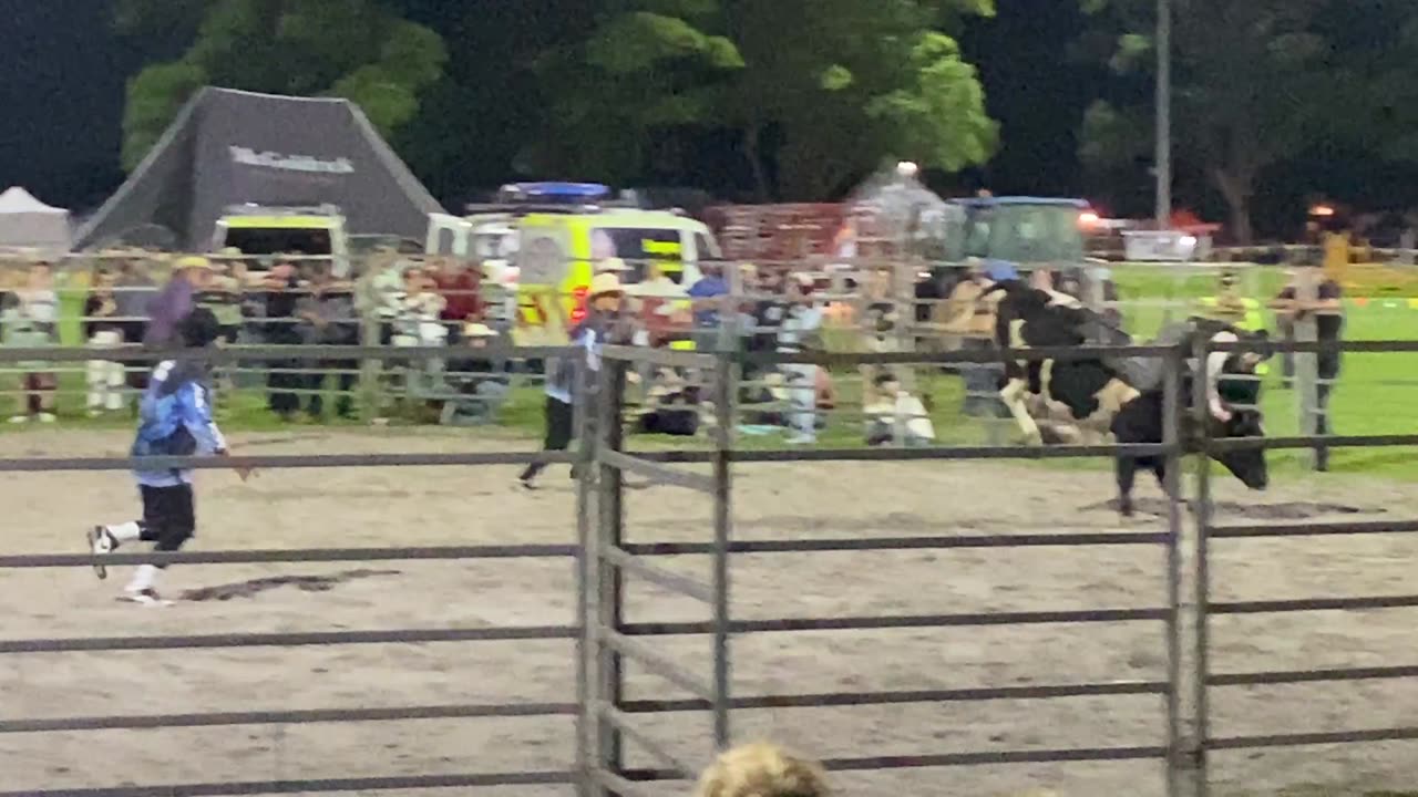 Bull Riding
