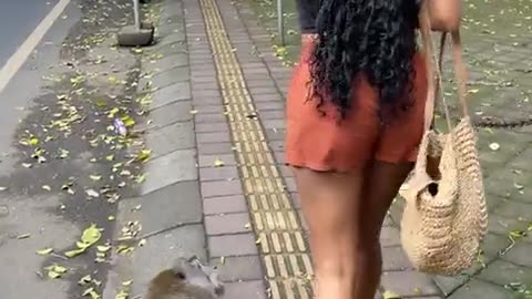 🤯🚶‍♂️ You Won't Believe Why This Human is Told to Get Lost! | FunFM