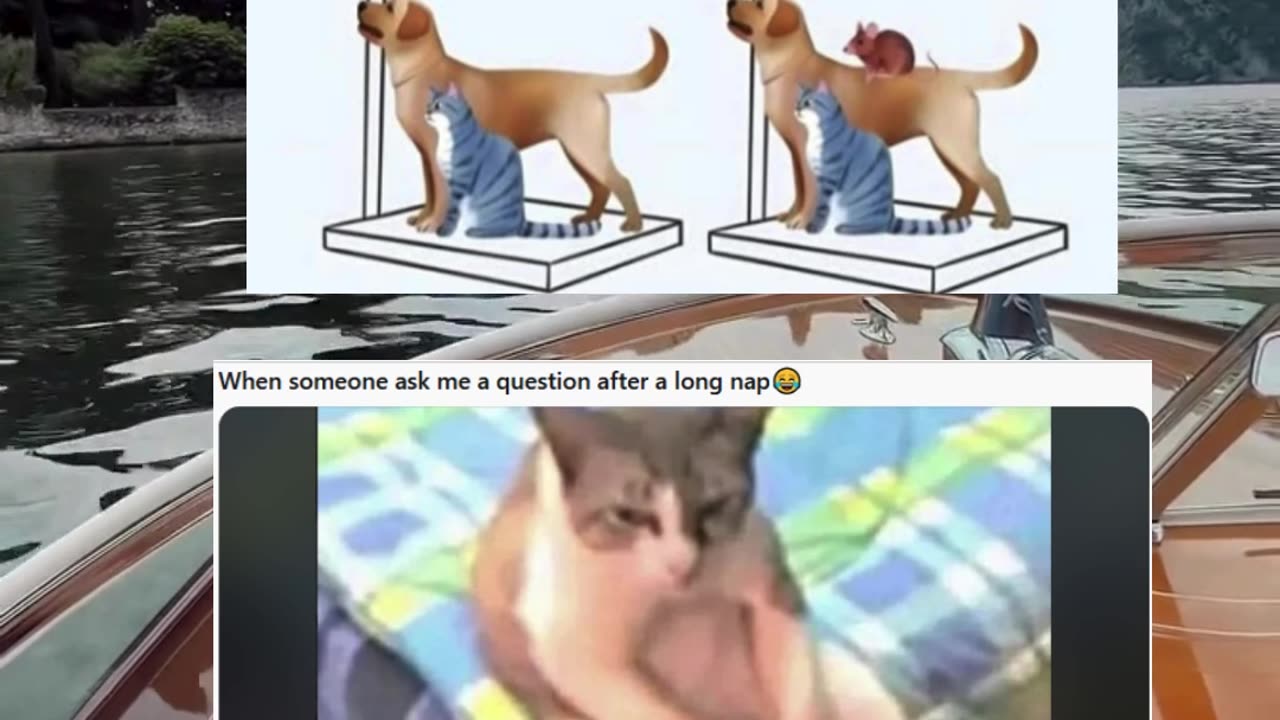 Memes of the day | funny memes | #funny