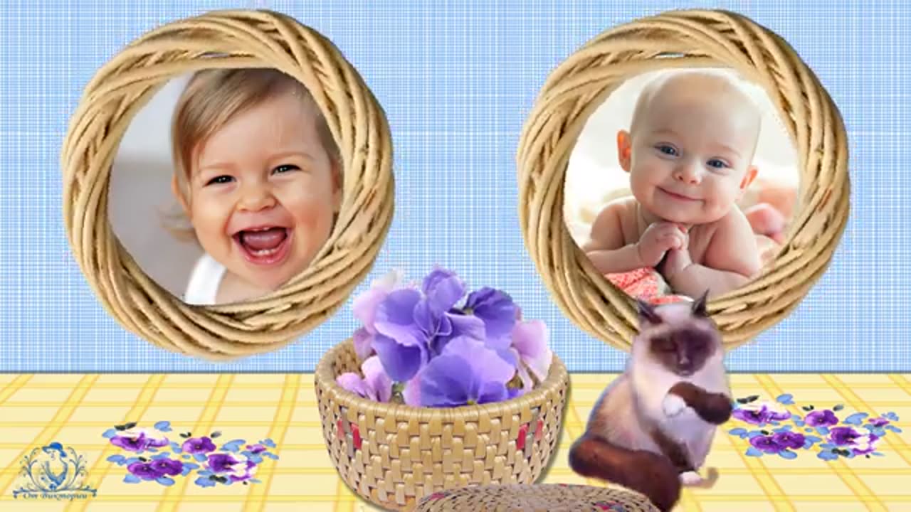 Pansies - Project for Proshow Producer