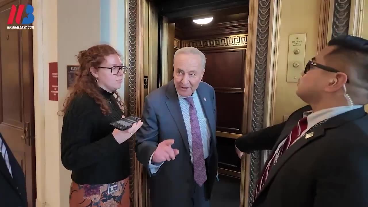 Chuck Schumer is asked to denounce violence against Tesla