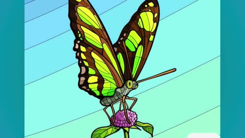 Vibrant Butterfly Resting on Flower Against a Clear Sky Background