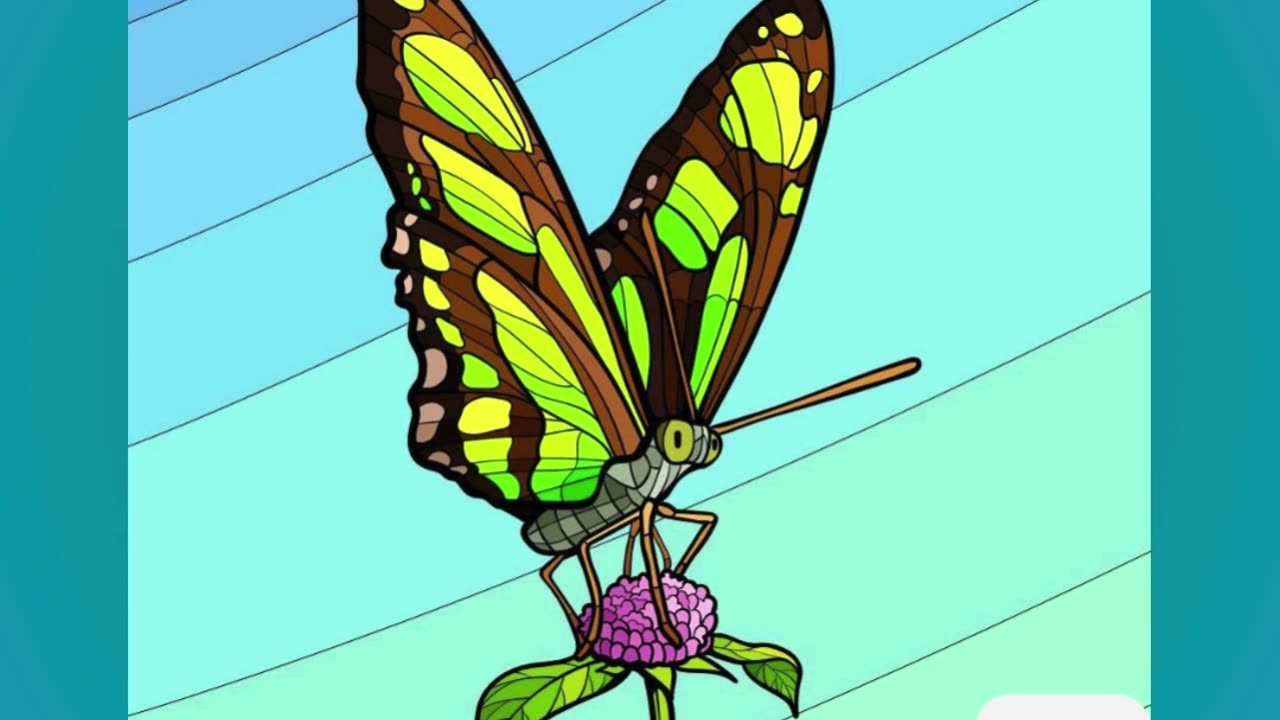 Vibrant Butterfly Resting on Flower Against a Clear Sky Background