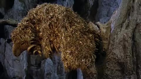 "Jason and the Argonauts"