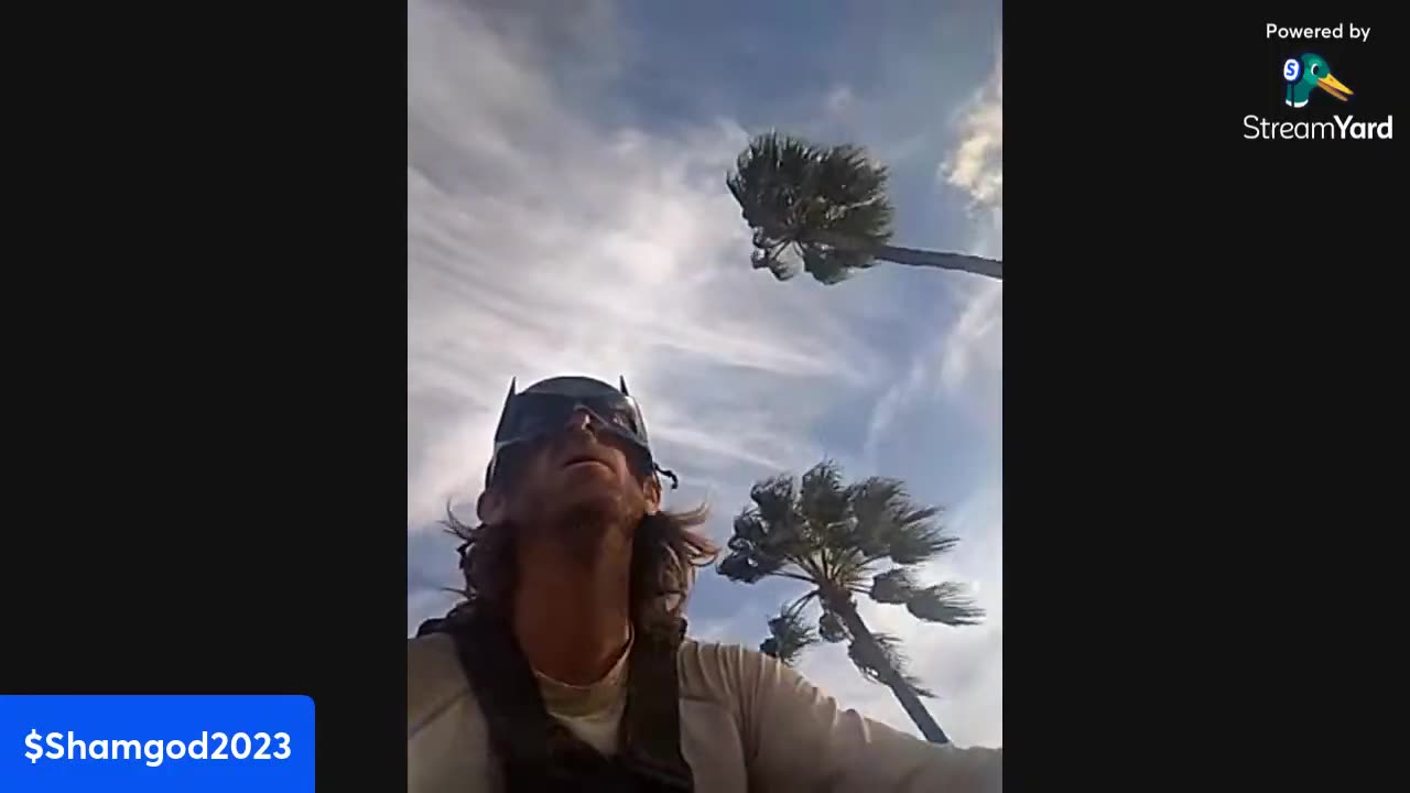 Batman's Hard Work Is Paying Off