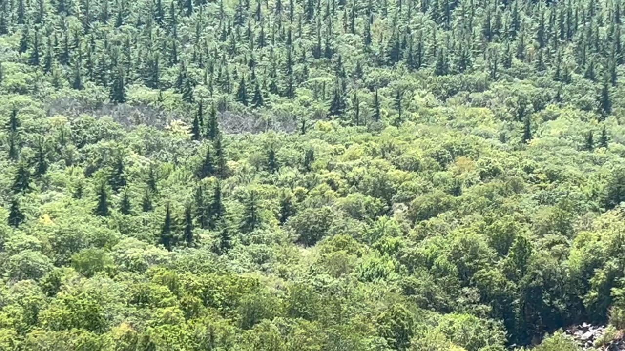 White Mountains - Boulder Loop Viewpoint