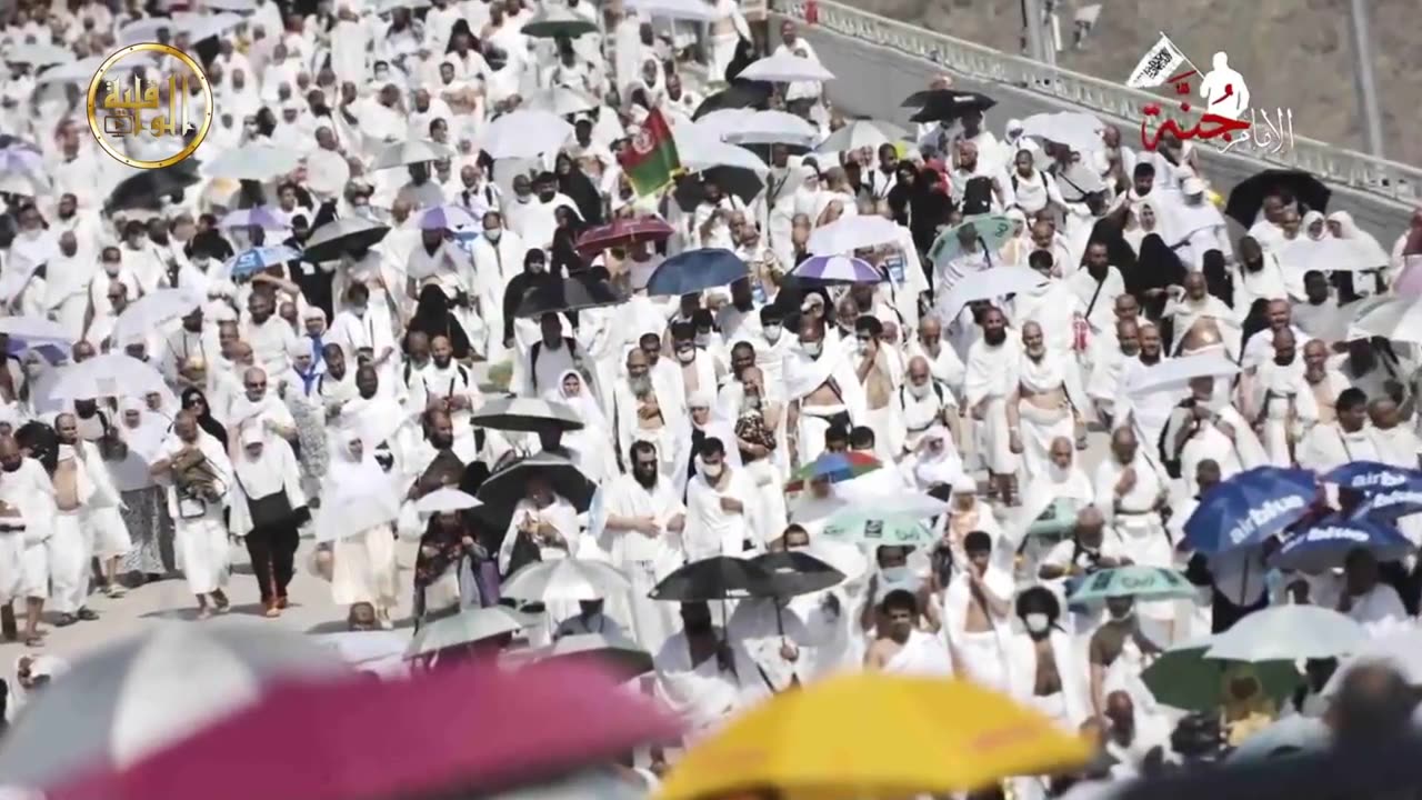 العمل للخلافة فرضة تاريخية (1)