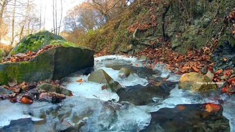 Beautiful Morning Music//Amazing Nature Video//Positive Vibes//Relaxing Music//Soothing Music