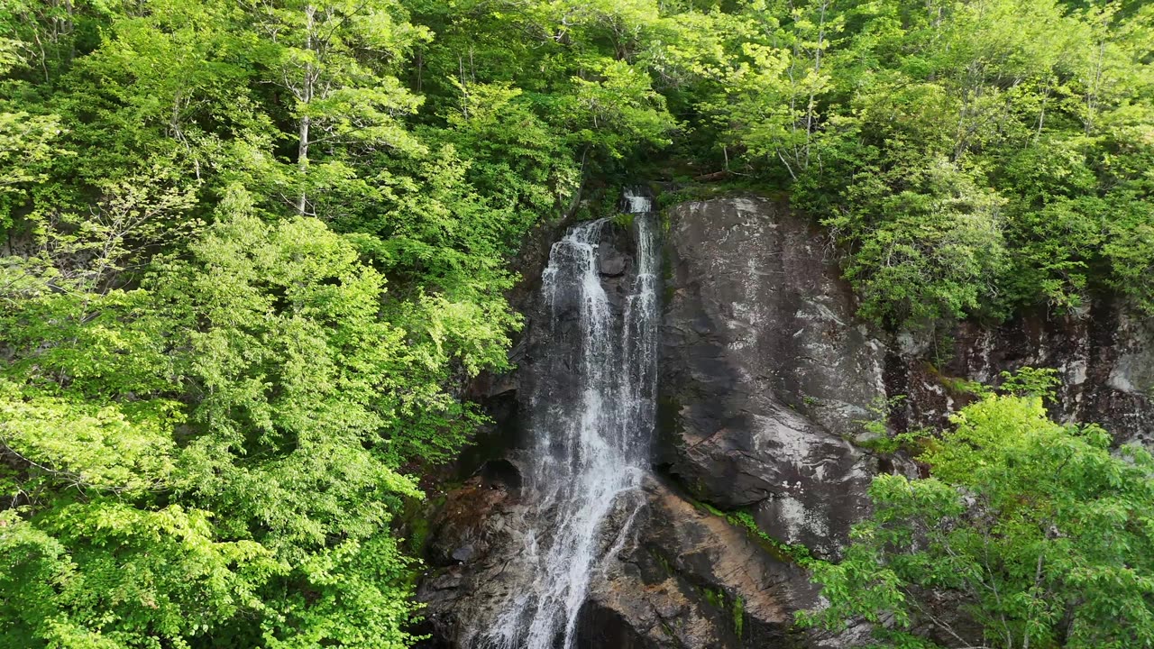 KaraBand Orchard Falls Virginia Drone June 2025