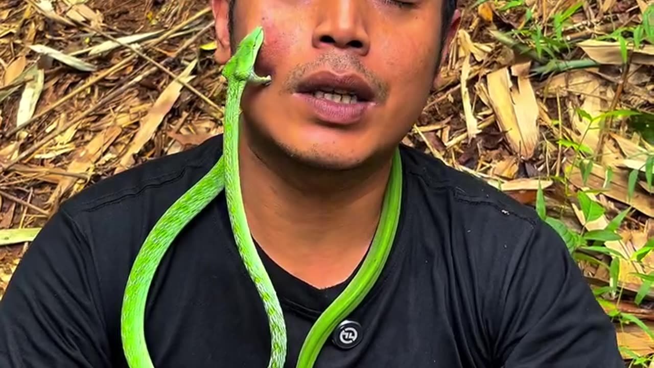 snake catcher / dont try this
