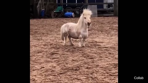 🤣🤣