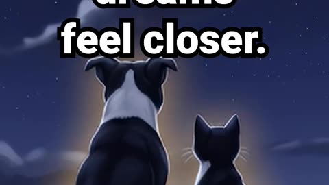 Under the same stars, dreams feel closer #chilllofi #concentrationmusic #hiphopbeats